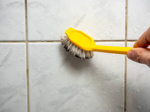Best Office Mold Removal Services  in Bridgeville, DE