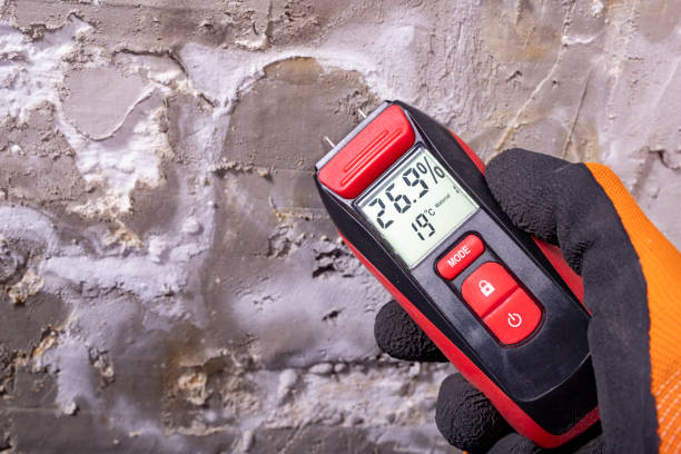 Best Mold Damage Repair  in Bridgeville, DE
