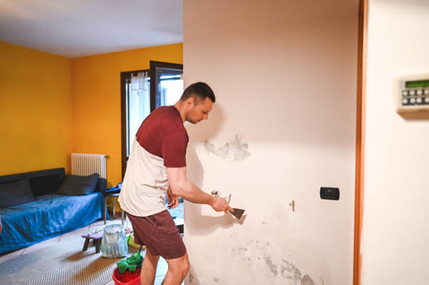 Best Mold Testing  in Bridgeville, DE
