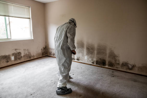 Best Mold Testing  in Bridgeville, DE